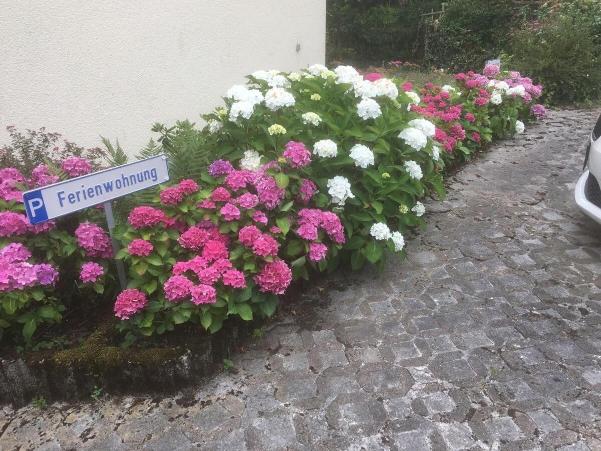 Apartment Sponheim *